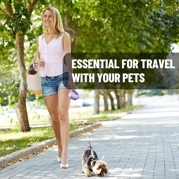 Pet Dog‎ Carrier Travel Bag Tote Cat Puppy Shoulder Carry Soft Comfort Case - Picture 3 of 7